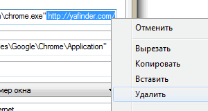 свойствах браузера свойствах браузера