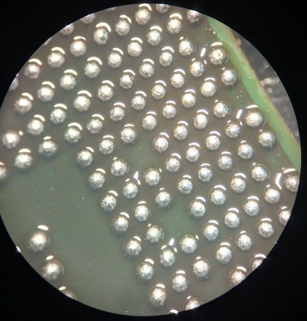 Ремонт ноутбука Asus n550jv