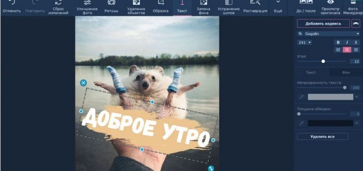 Надпись на фото дополнит иллюстрацию для блога.