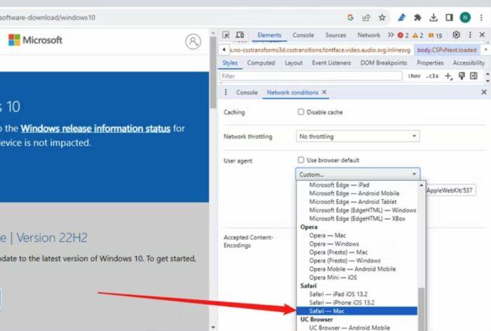 developer tool mac browser
